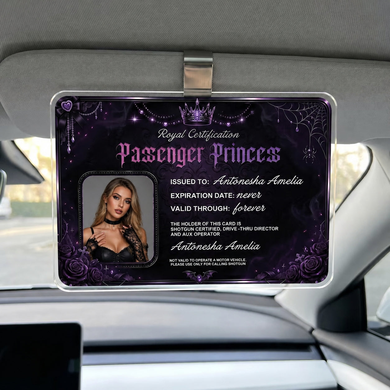 Personalized Passenger Princess Card– Forever Valid VIP Card