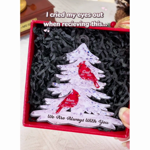 Cardinals Memorial - Personalized Acrylic Ornament - Remembrance Gift, Sympathy Gift For Whole Family, Extended Family